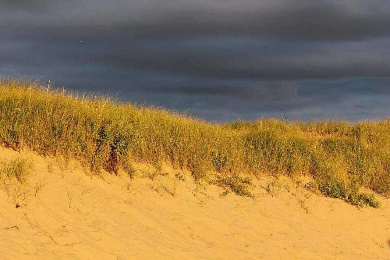 The Braemar Condominium North Truro Eksteriør billede